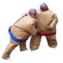 Find a Durham Sumo Suit Rental