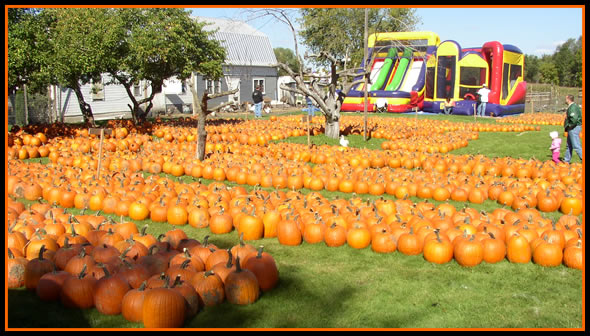 Bounce House for Pumpkin Patch