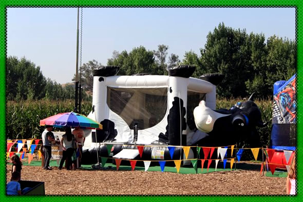 Corn Maze Bounce Inflatables