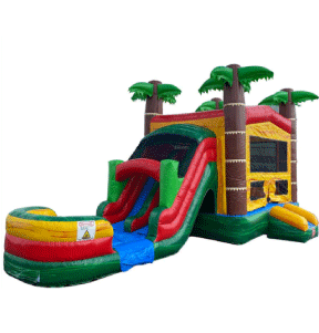 Backyardigans Bounce House for Rent